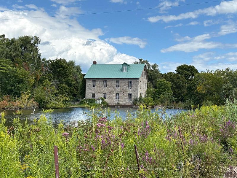 Historic stone mill across Mill Pond, framed by summer wildflowers